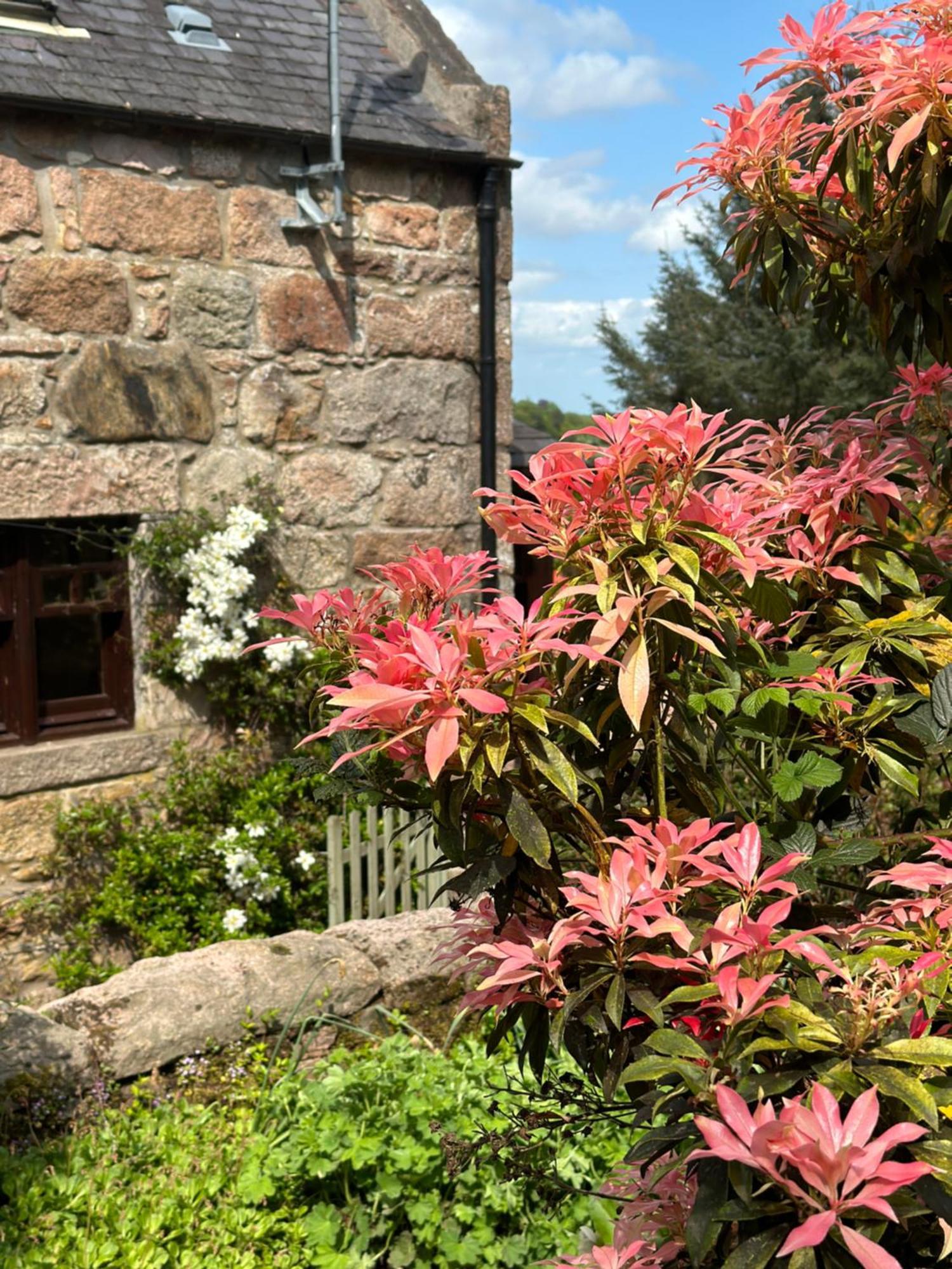 Awakening Alchemy Retreat Centre Bed & Breakfast Inverurie Dış mekan fotoğraf