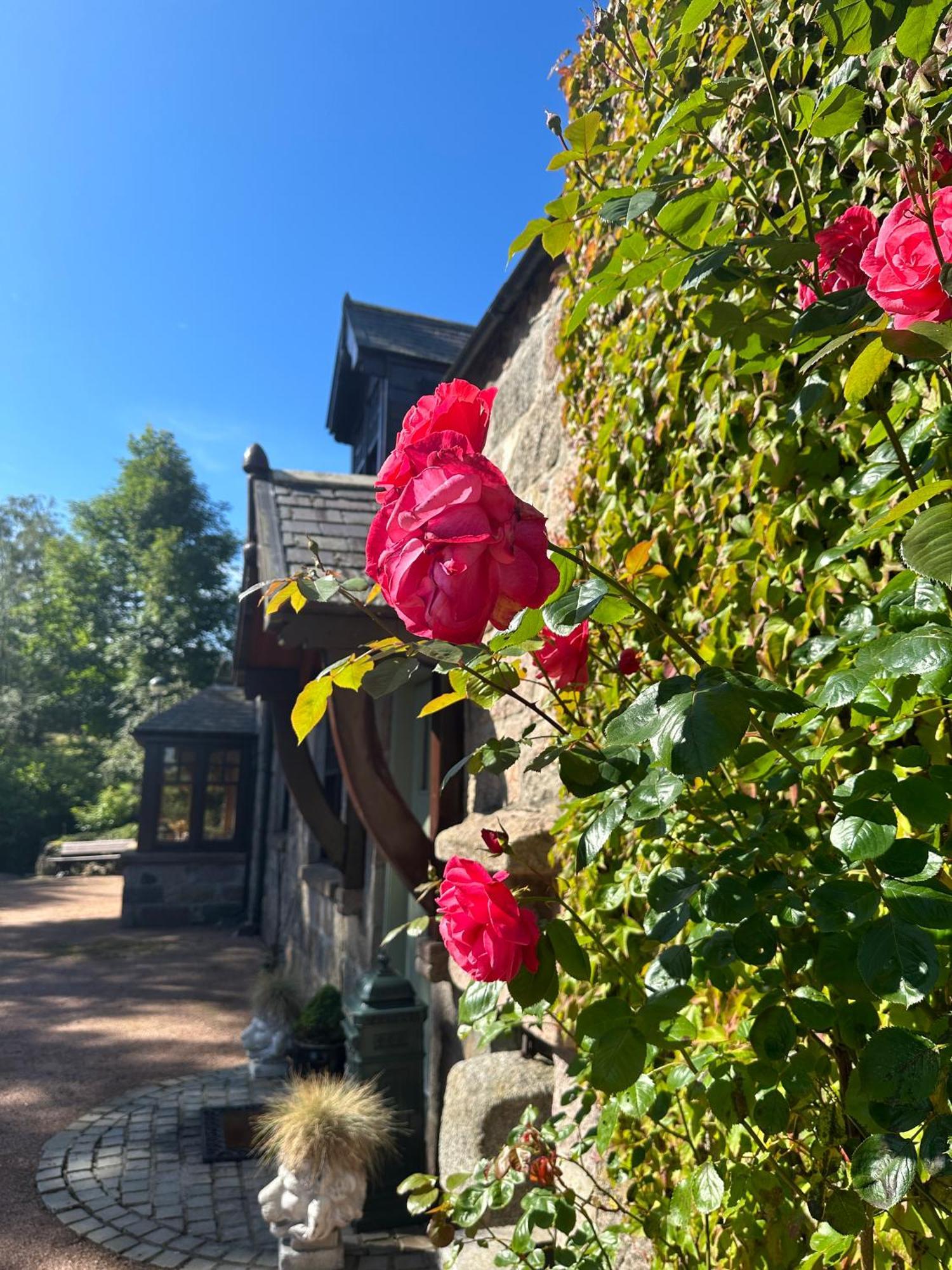 Awakening Alchemy Retreat Centre Bed & Breakfast Inverurie Dış mekan fotoğraf
