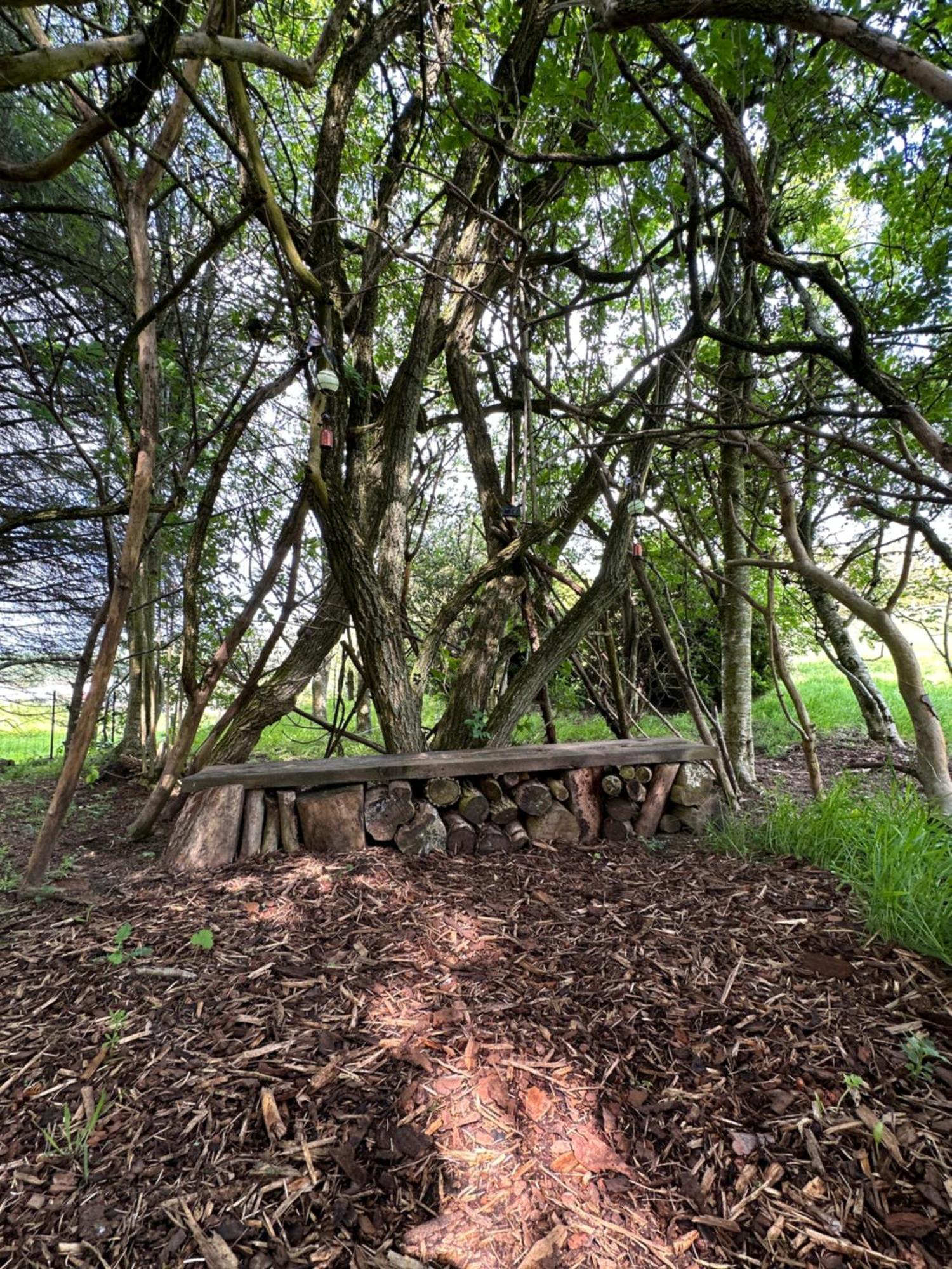 Awakening Alchemy Retreat Centre Bed & Breakfast Inverurie Dış mekan fotoğraf