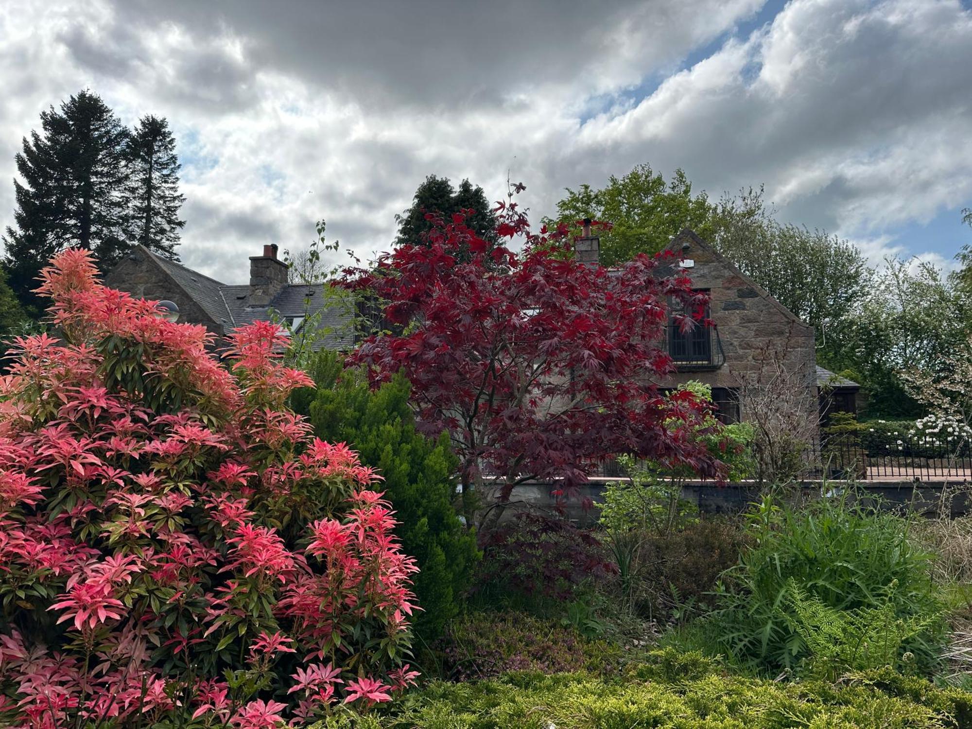 Awakening Alchemy Retreat Centre Bed & Breakfast Inverurie Dış mekan fotoğraf